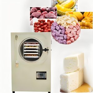 candy freeze dryer
