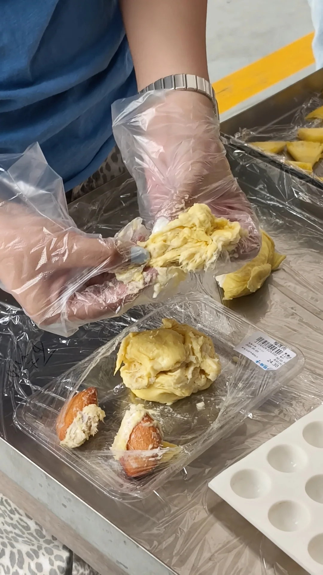 Durian trial freeze-drying application