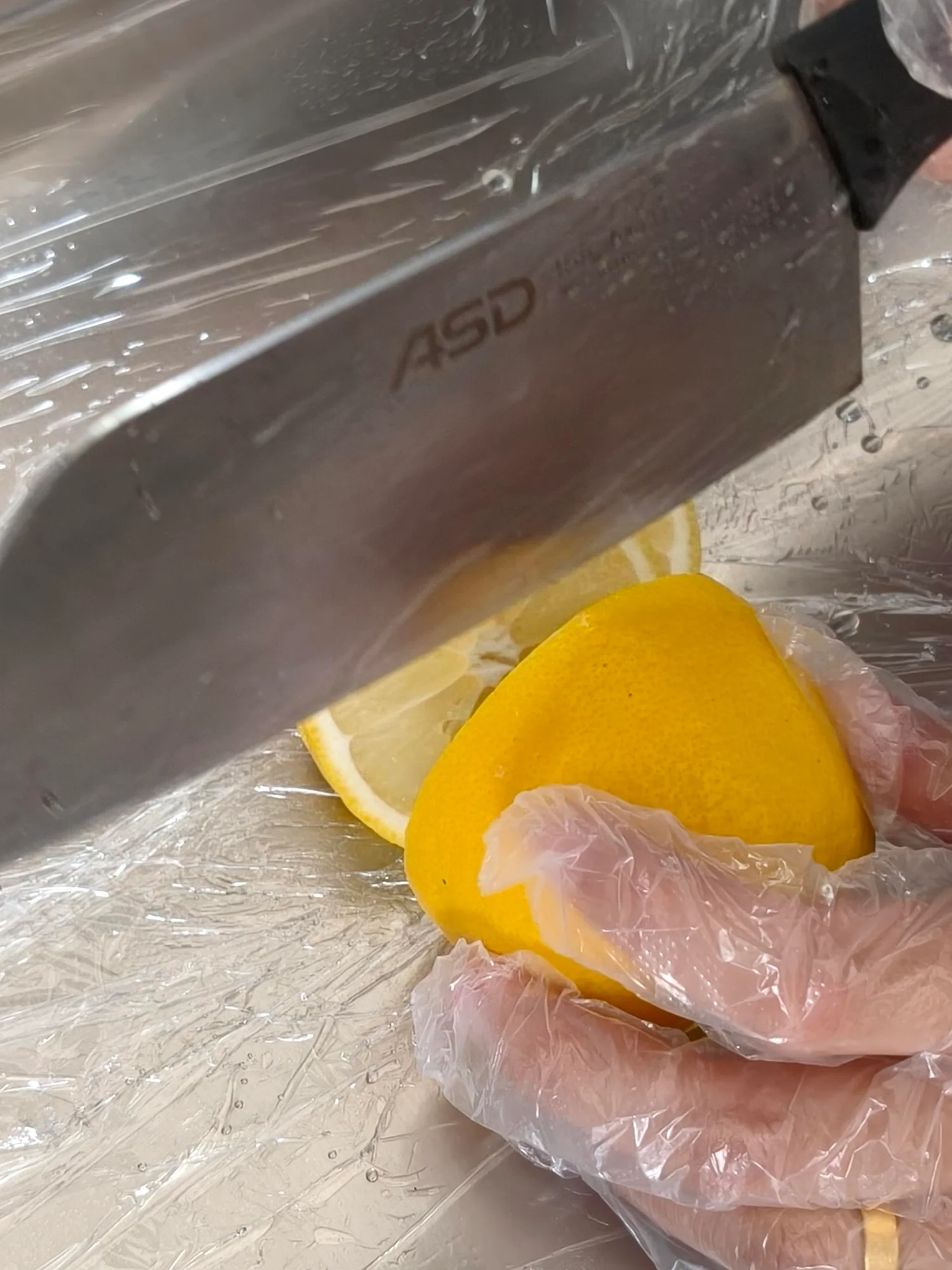 Citrus preparation freeze-drying application