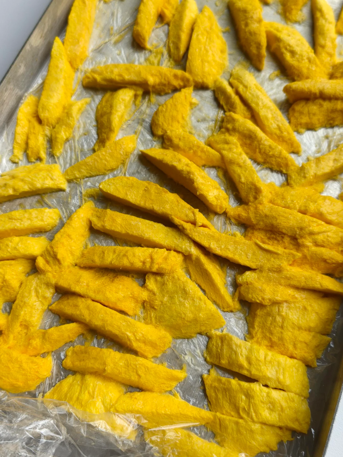 Mango trial freeze-drying application