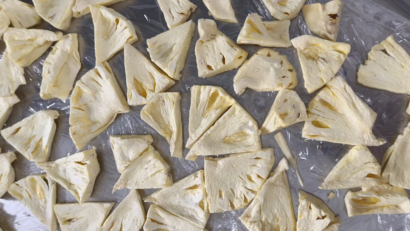 Freeze-dried pineapple from SHENSHENG material trials