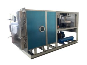 Medium Freeze Dryer Supplier